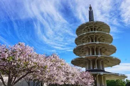 La Pagoda della Pace a 城